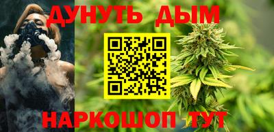 гидра Нальчик
