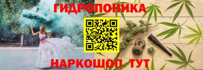 гидра Нальчик