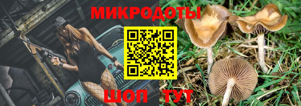 Галлюциногенные грибы MAGIC MUSHROOMS  Псилоцибиновые грибы мицелий  Вход с VPN  Тобольск 