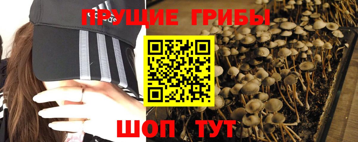 Галлюциногенные грибы GOLDEN TEACHER Тобольск